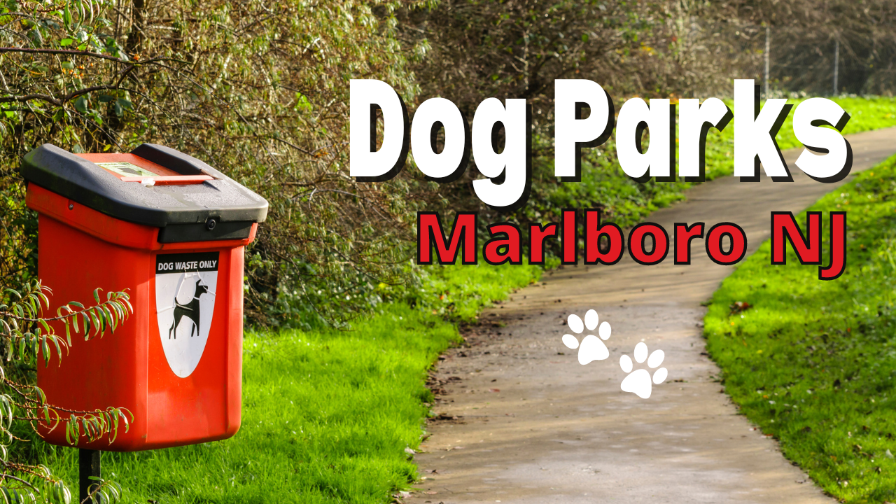 Dog Parks Near Me | Marlboro NJ