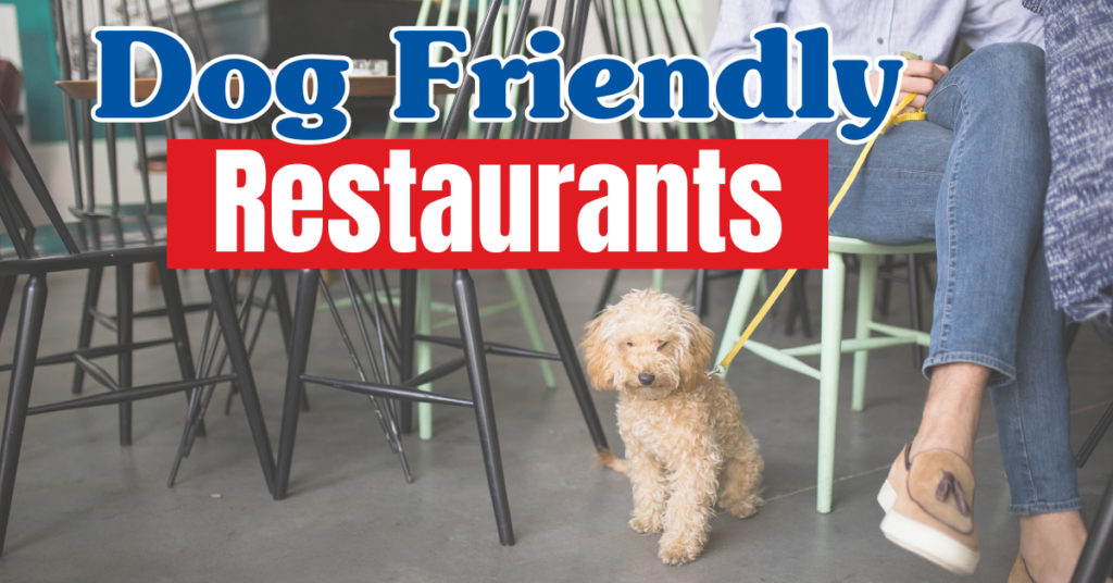 photo of a womens legs sitting at a restaurant with a dog by her legs